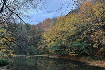 Фото №4: Коммерческая земля 200 сот. - Гуамка, ул. Весёлая, 52