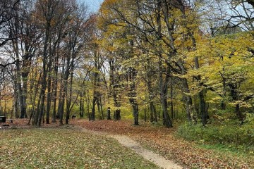 Фото №2: Коммерческая земля 200 сот. - Гуамка, ул. Весёлая, 52