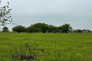 Фото №4: Коммерция 10 м² - садово- Адыгея, 270