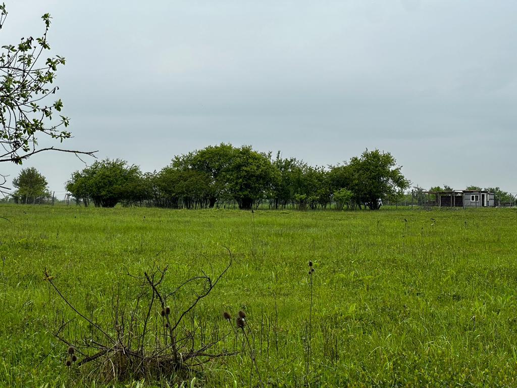 Фото №4: Коммерция 10 м² - садово- Адыгея, 270