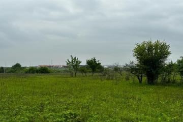 Фото №3: Коммерция 10 м² - садово- Адыгея, 270