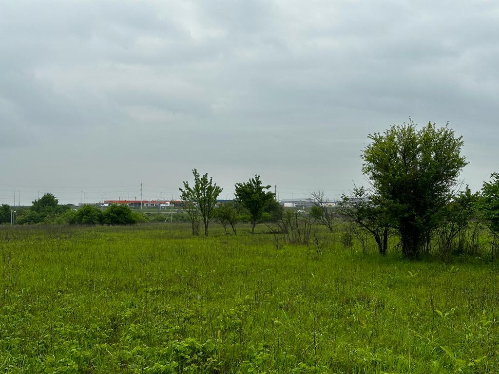 Фото №3: Коммерция 10 м² - садово- Адыгея, 270