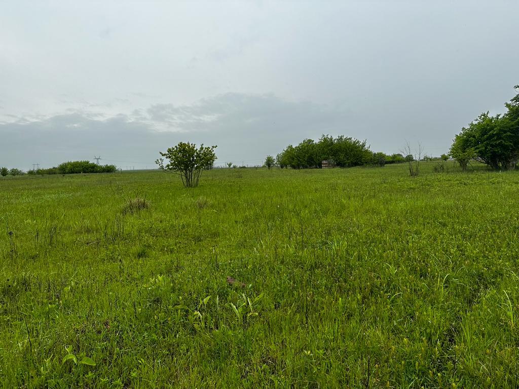 Фото №6: Коммерция 10 м² - садово- Адыгея, 270