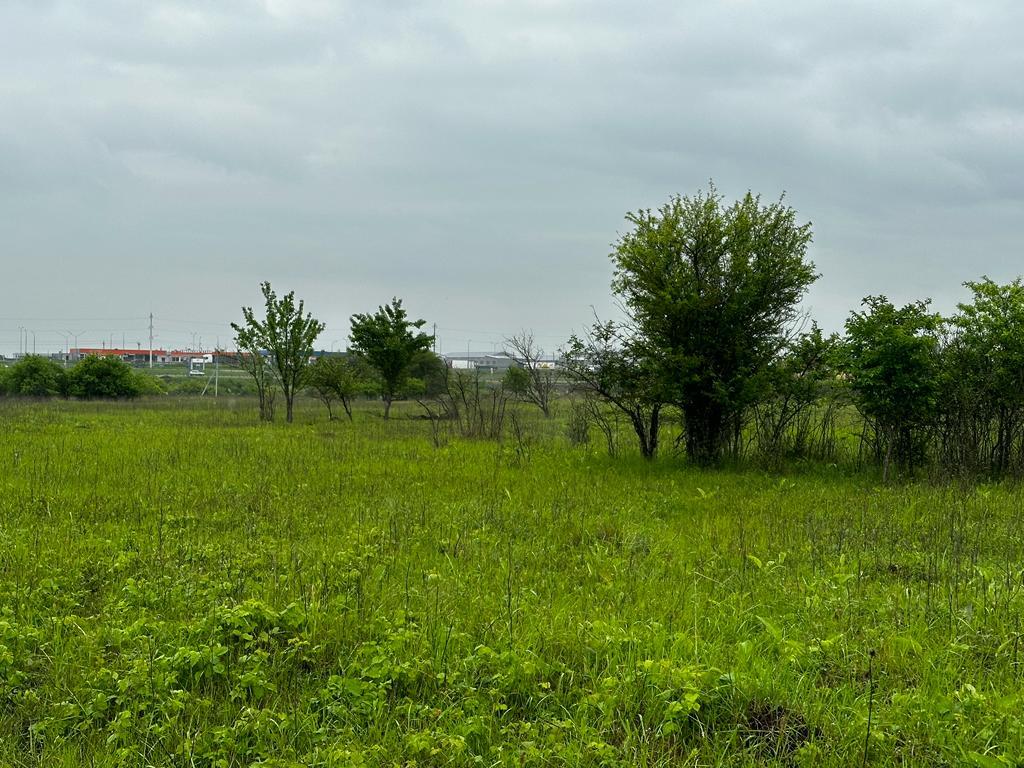 Фото №7: Коммерция 10 м² - садово- Адыгея, 270