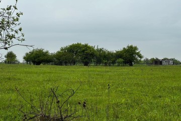 Фото №4: Коммерческая земля 10 сот. - садово- Адыгея, 270