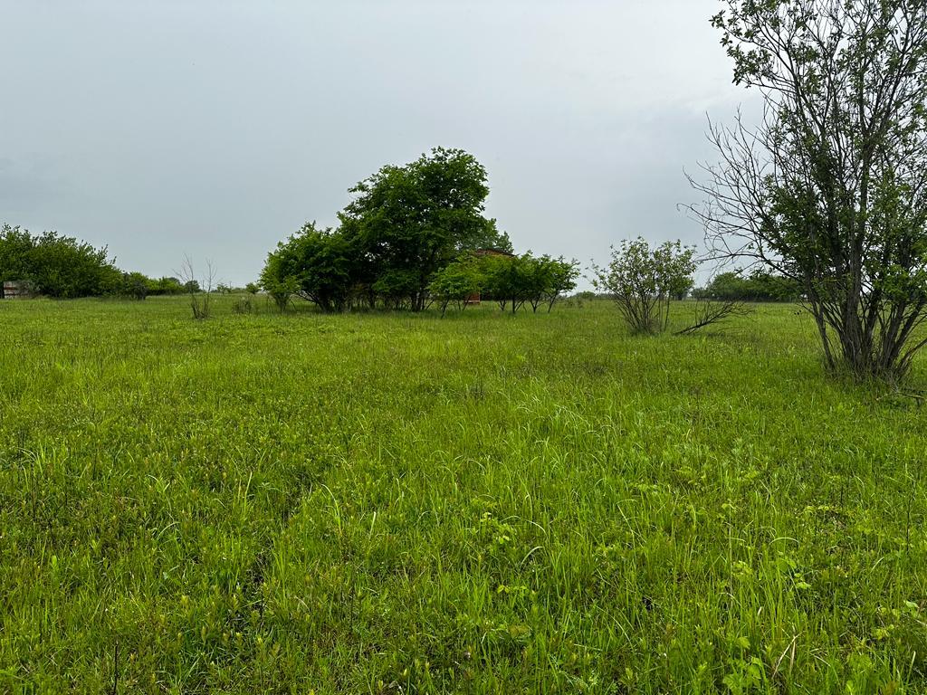 Фото №1: Коммерция 10 м² - садово- Адыгея, 270