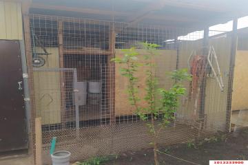 Фото №5: Дом 102 м² - Краснодар, мкр. Прикубанский внутригородской округ, ул. имени Героя Владимира Бараненко, 38