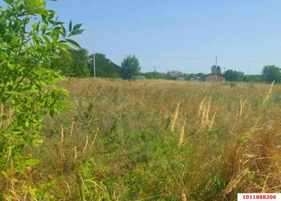 Фото №5: Личное подсобное хозяйство - Надежда, мкр. Карасунский внутригородской округ, ул. Вишнёвая, 360