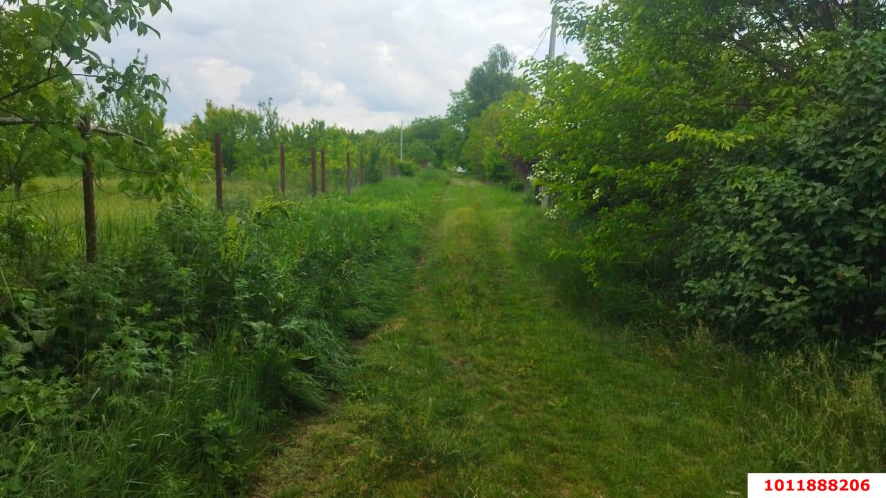 Фото №4: Личное подсобное хозяйство - Надежда, мкр. Карасунский внутригородской округ, ул. Вишнёвая, 360