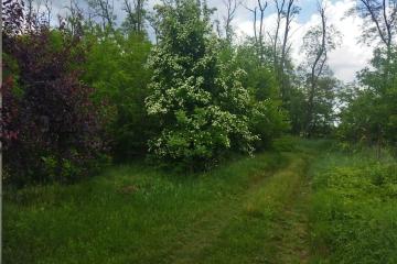 Фото №3: Земельный участок 8.61 сот. - Надежда, мкр. Карасунский внутригородской округ, ул. Вишнёвая, 360