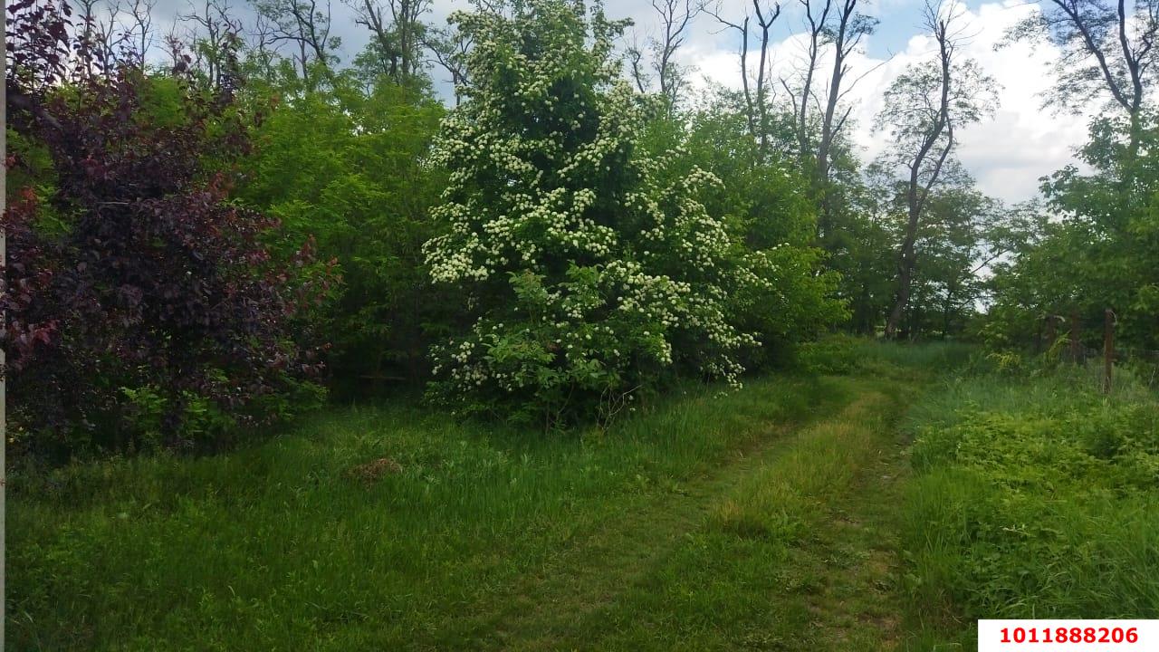Фото №3: Личное подсобное хозяйство - Надежда, мкр. Карасунский внутригородской округ, ул. Вишнёвая, 360