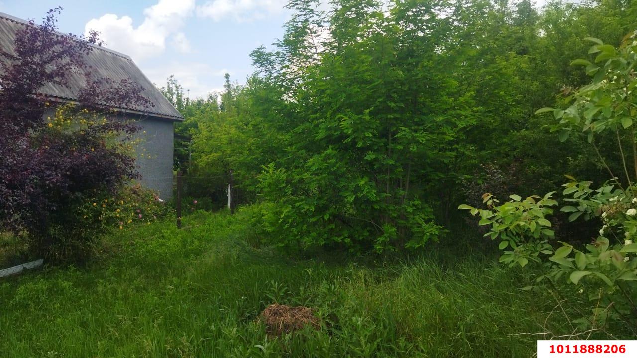 Фото №1: Личное подсобное хозяйство - Надежда, мкр. Карасунский внутригородской округ, ул. Вишнёвая, 360