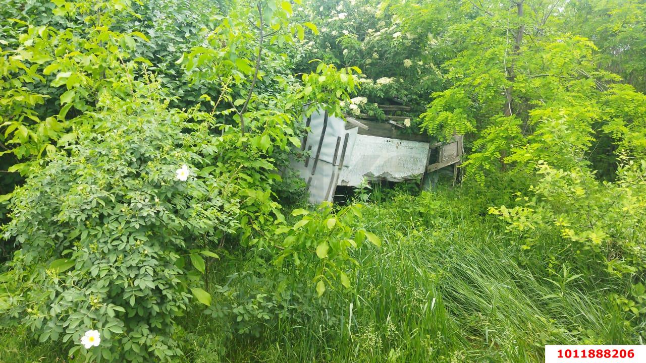 Фото №2: Личное подсобное хозяйство - Надежда, мкр. Карасунский внутригородской округ, ул. Вишнёвая, 360