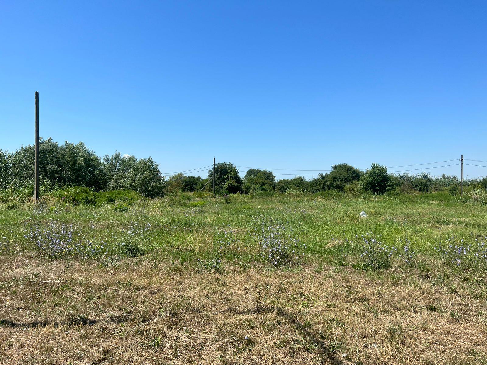 Фото №4: Коммерция 15 м² - Республика Адыгея (Адыгея) Теучежский район