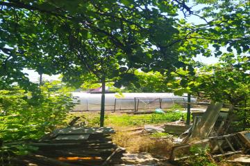 Фото №4: Дом 47 м² - Индустриальный, мкр. Прикубанский внутригородской округ, ул. Космонавта Гагарина, 12