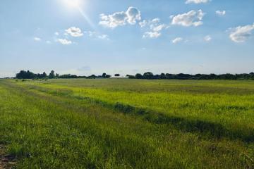 Фото №2: Коммерция 125 м² - Шевченко, 