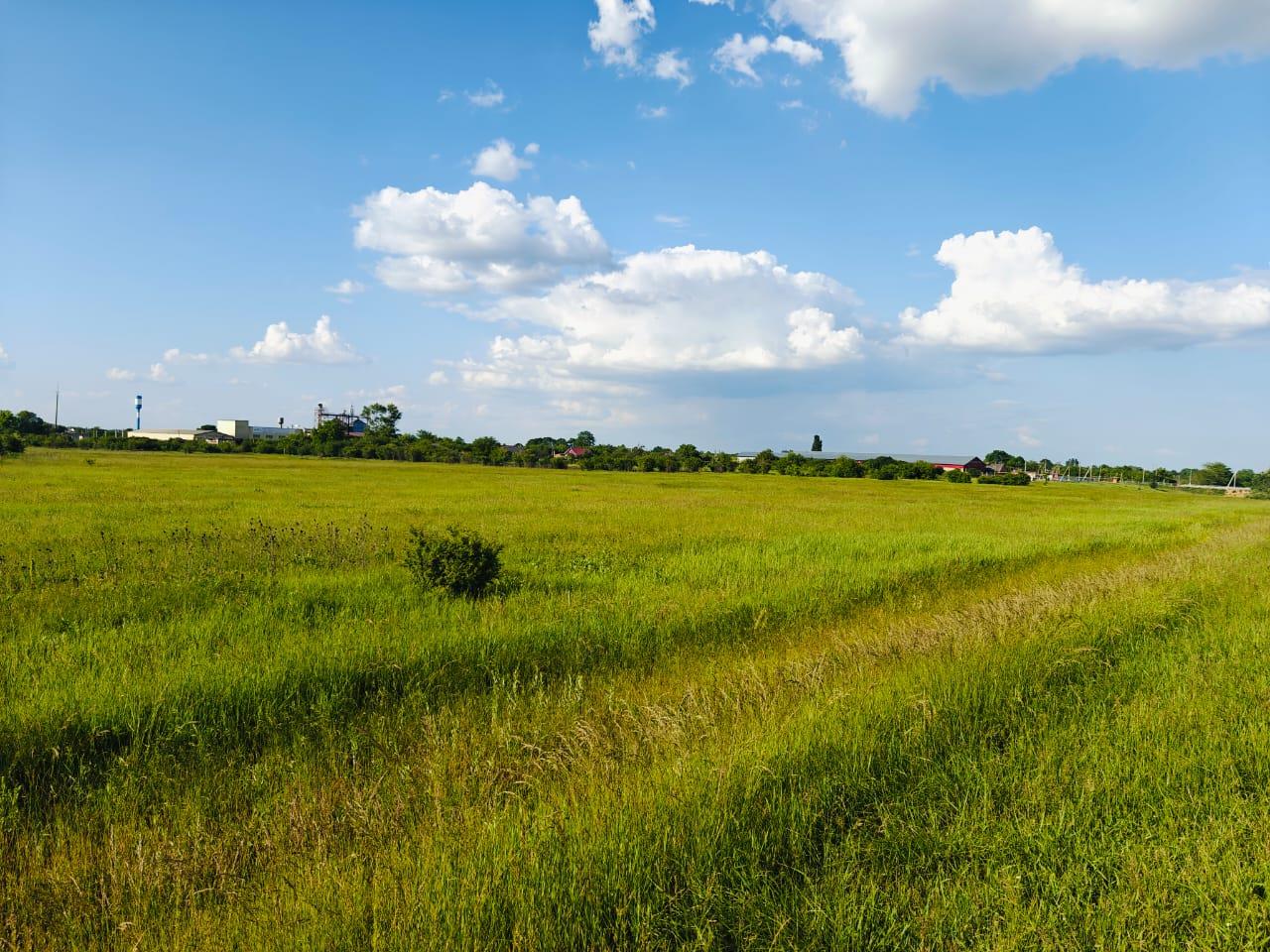 Фото №7: Коммерция 125 м² - Шевченко