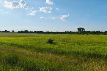 Фото №4: Коммерция 125 м² - Шевченко, 