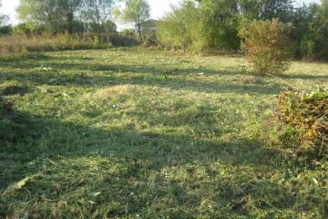 Фото №2: Земельный участок 20 сот. - Осечки, 40А