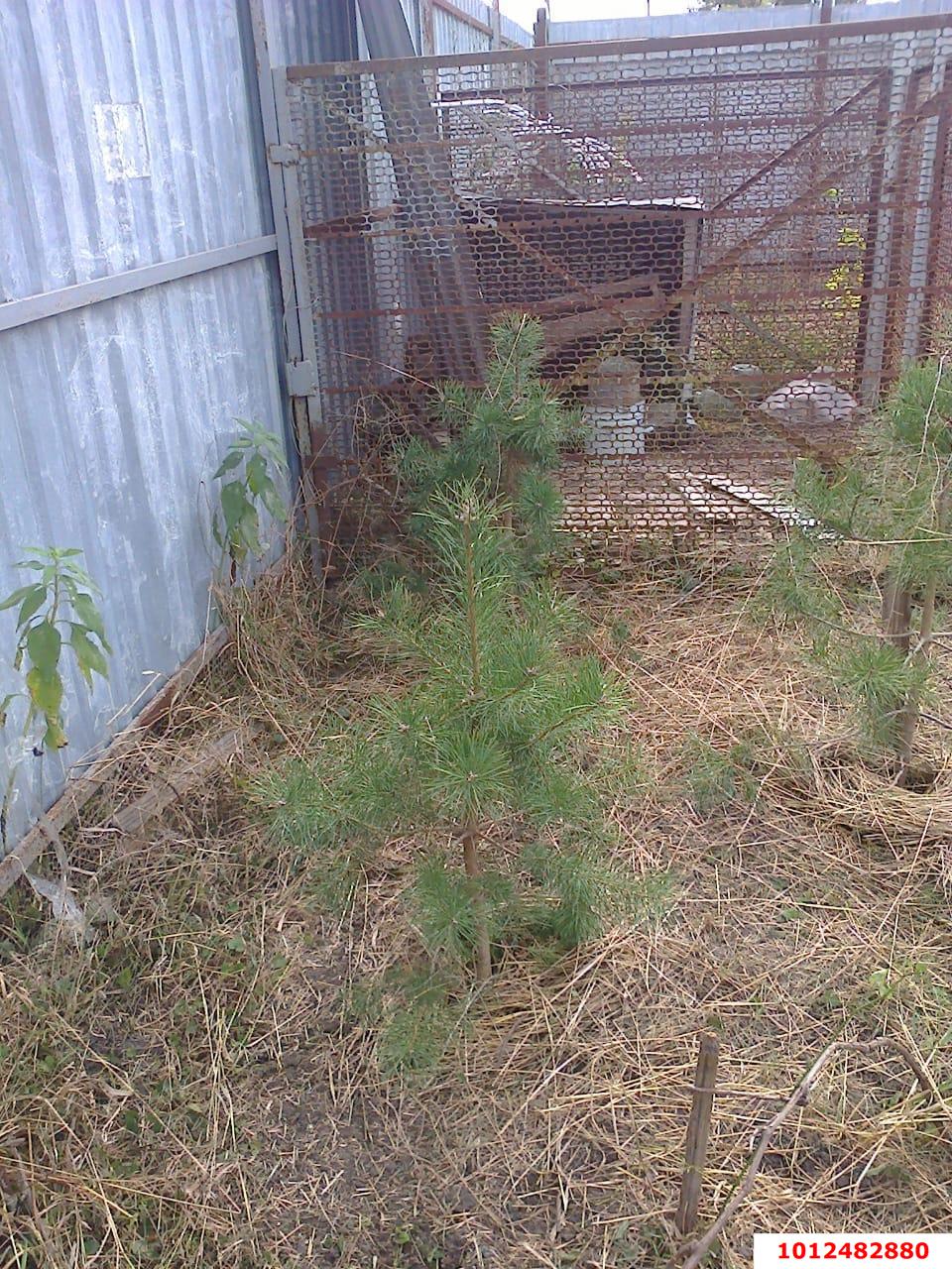 Фото №4: Земельный участок 6.21 сот. - Елизаветинская, Прикубанский внутригородской округ, ст Прикубанье, ул. Рябиновая