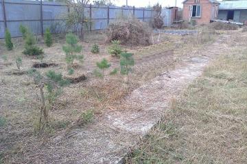 Фото №2: Земельный участок 6.21 сот. - Елизаветинская, ст Прикубанье, ул. Рябиновая