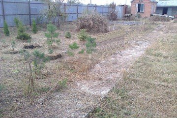 Фото №2: Участок садоводство 6.21 сот. - Елизаветинская, ст Прикубанье, ул. Рябиновая