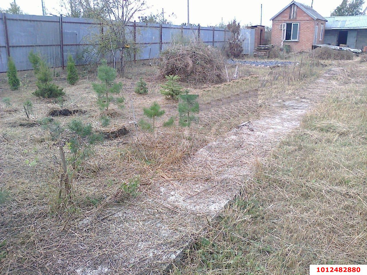 Фото №2: Участок садоводство 6.21 сот. - Елизаветинская, Прикубанье, ул. Рябиновая