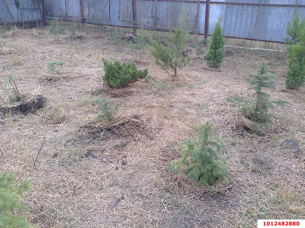 Фото №3: Земельный участок 6.21 сот. - Елизаветинская, Прикубанский внутригородской округ, ст Прикубанье, ул. Рябиновая