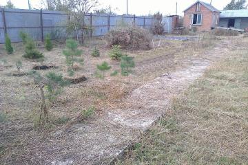 Фото №2: Земельный участок 6.3 сот. - Елизаветинская, ст Прикубанье, ул. Рябиновая