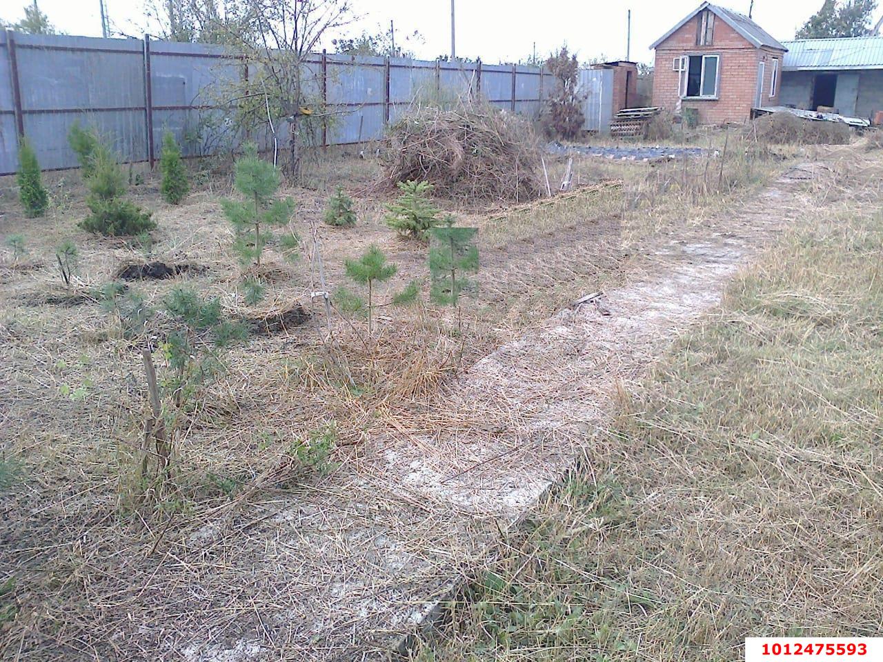 Фото №2: Участок садоводство 6.3 сот. - Елизаветинская, Прикубанье, ул. Рябиновая