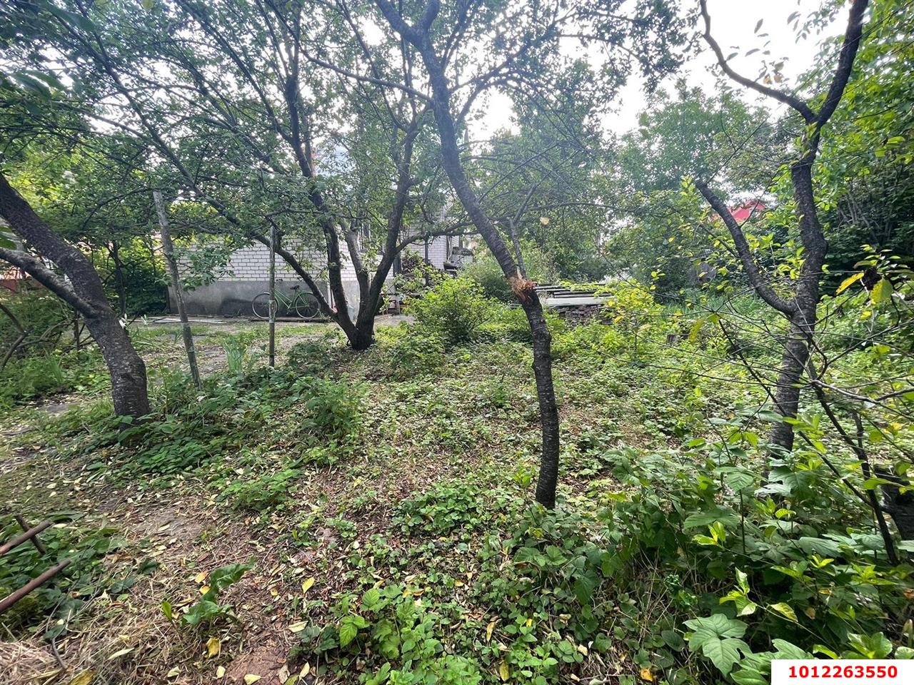 Фото №3: Участок садоводство 4 сот. - Краснодар, Вишнёвый Сад, ул. Виноградная, 75