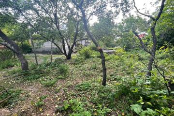 Фото №3: Земельный участок 4 сот. - Краснодар, мкр. Вишнёвый Сад, ул. Виноградная, 75