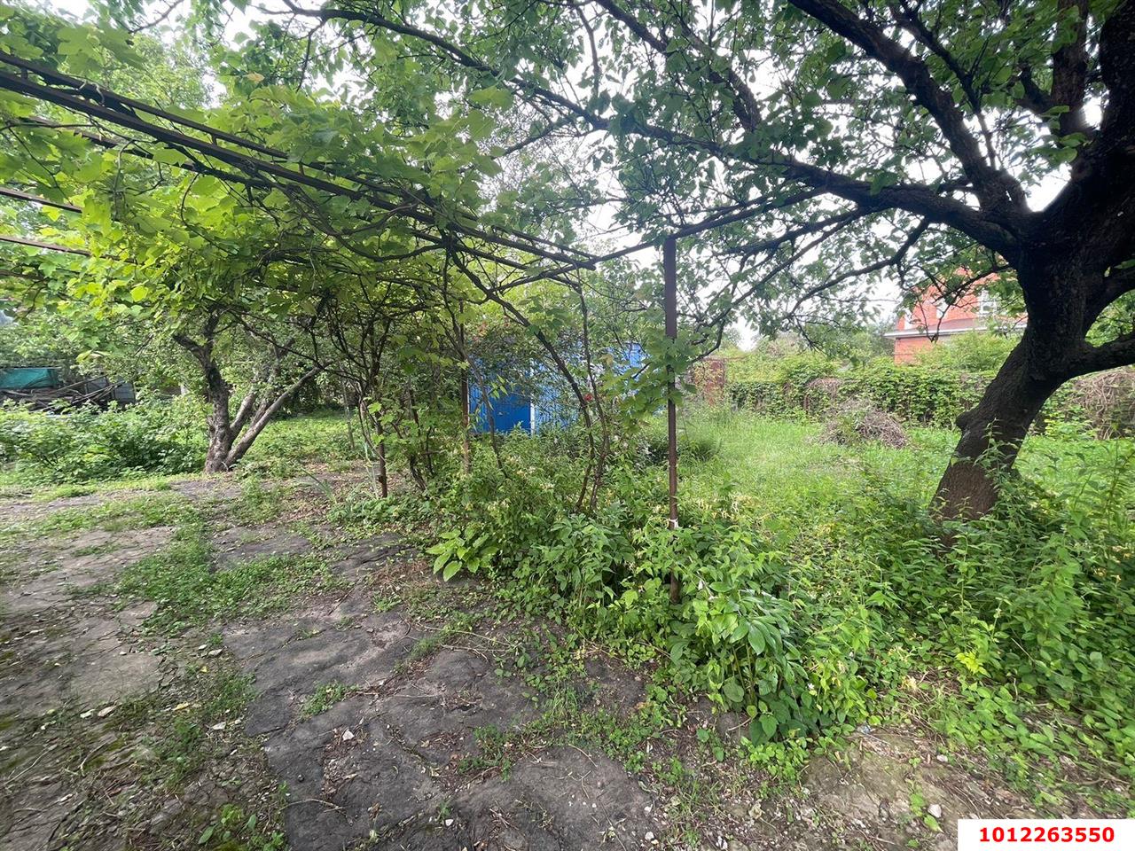 Фото №2: Участок садоводство 4 сот. - Краснодар, Вишнёвый Сад, ул. Виноградная, 75