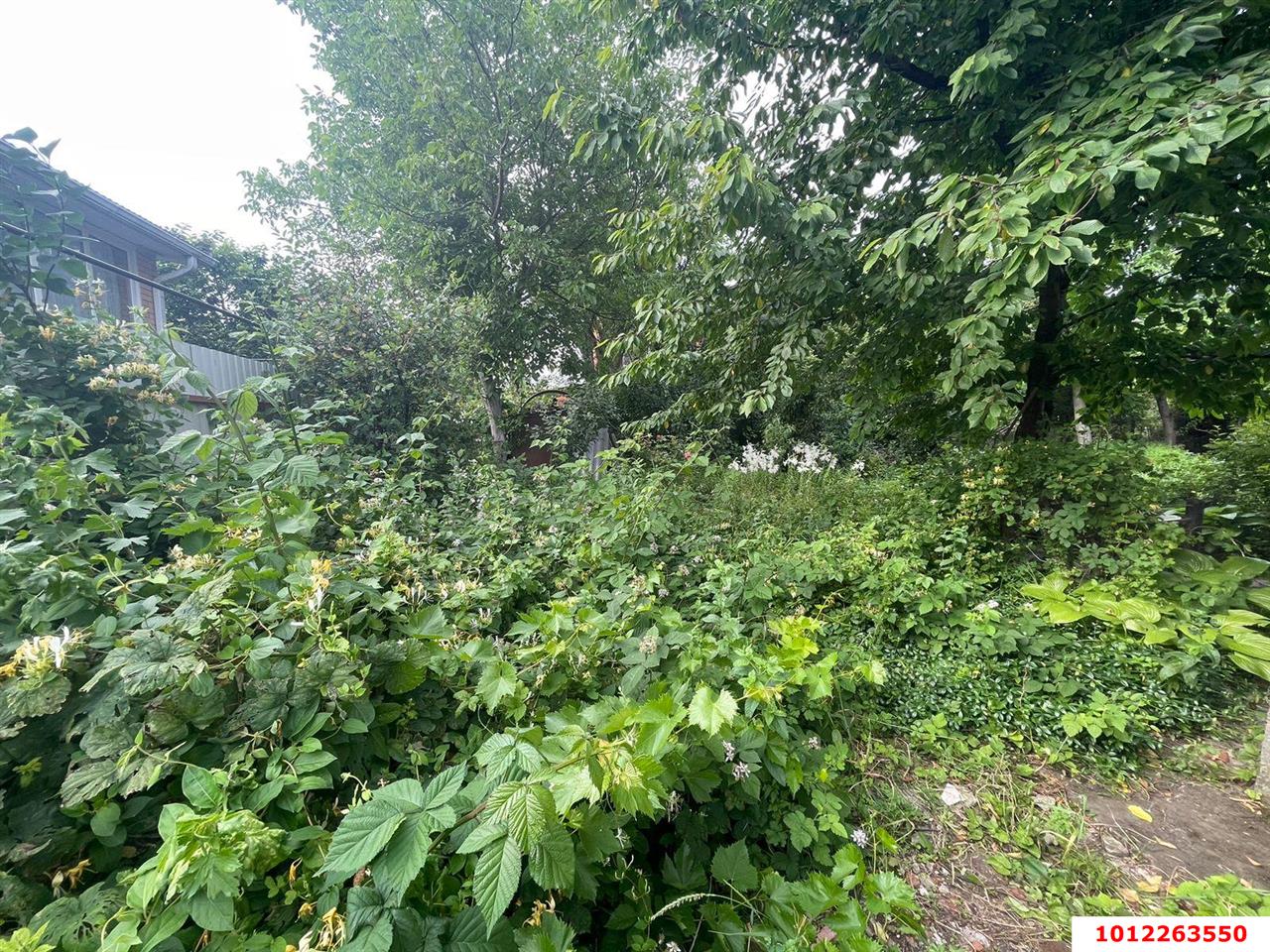 Фото №5: Участок садоводство 4 сот. - Краснодар, Вишнёвый Сад, ул. Виноградная, 75