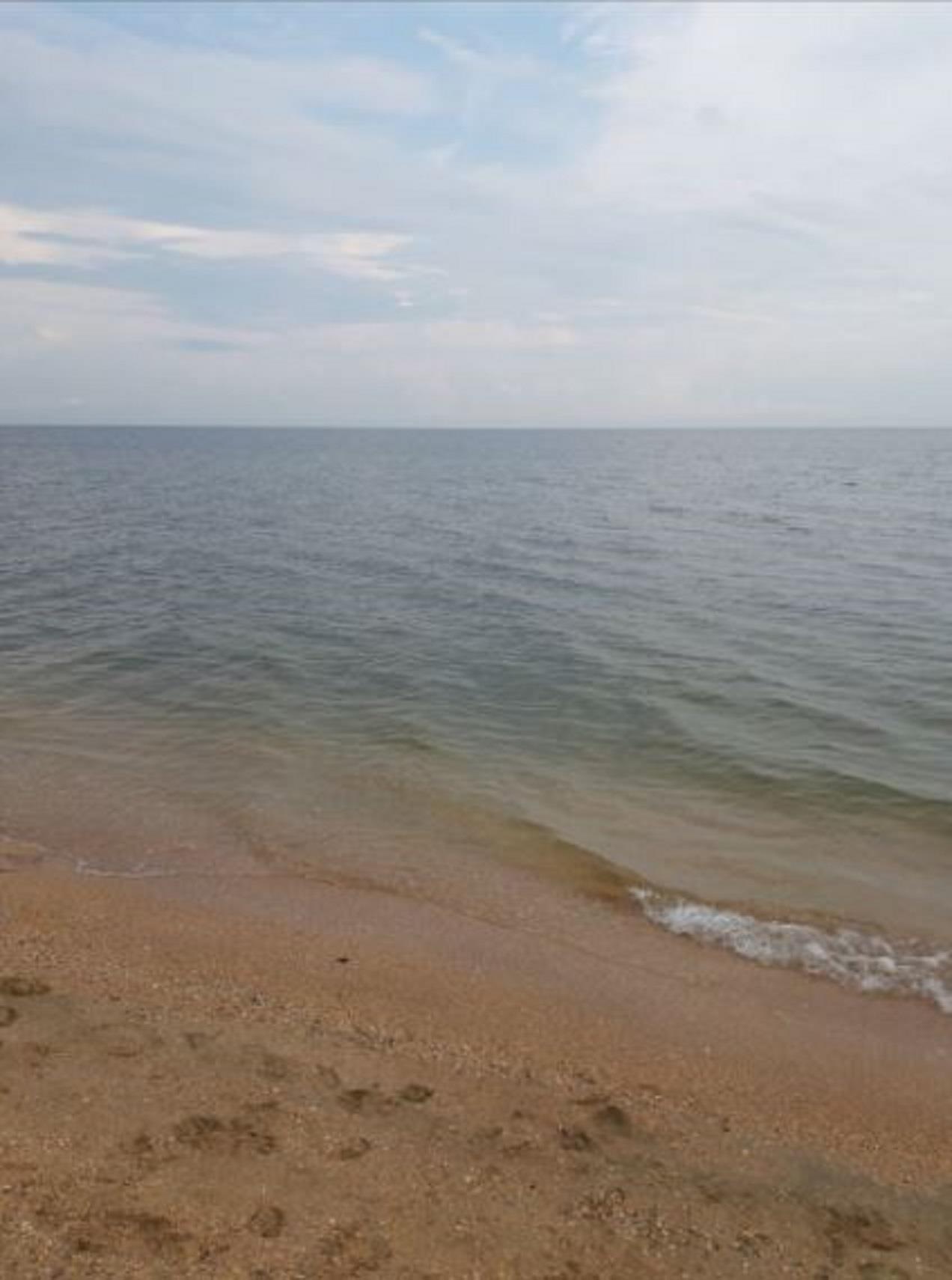 Фото №2: Коммерция 140 м² - Краснодарский край Темрюкский район