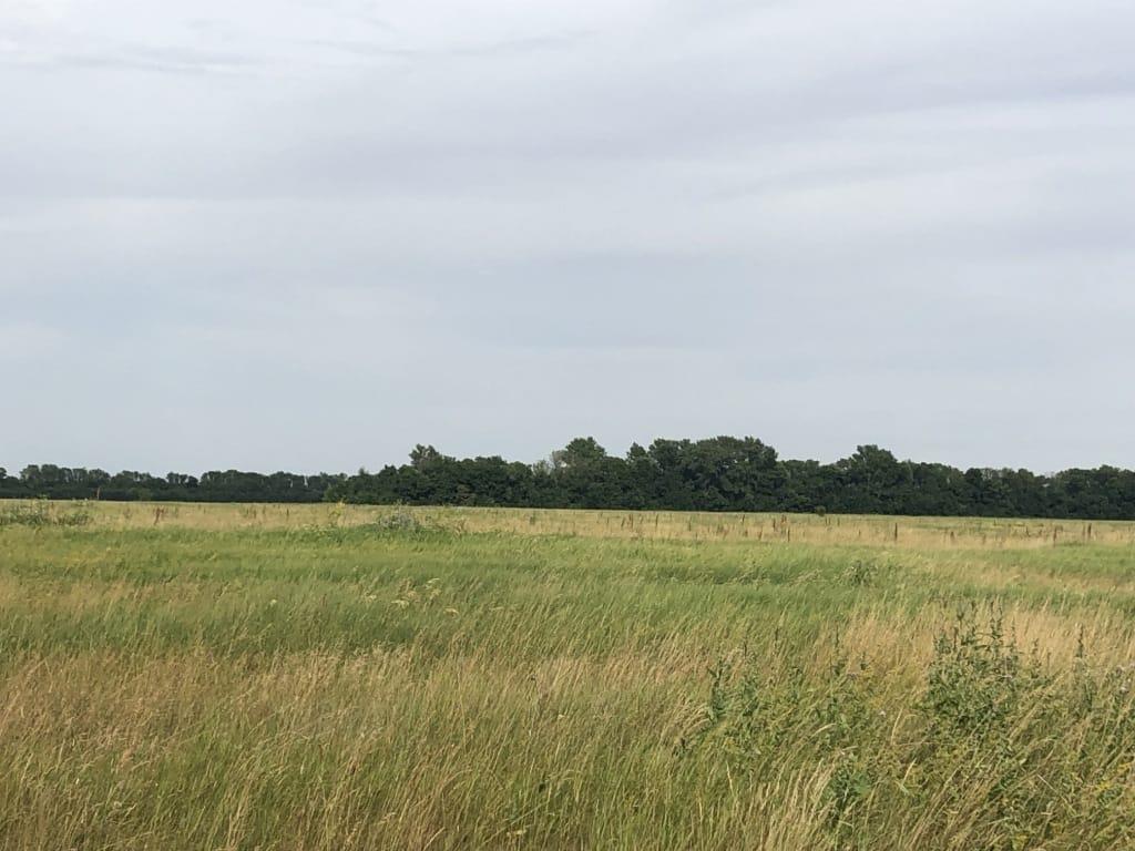 Фото №1: Коммерция 140 м² - Краснодарский край Темрюкский район