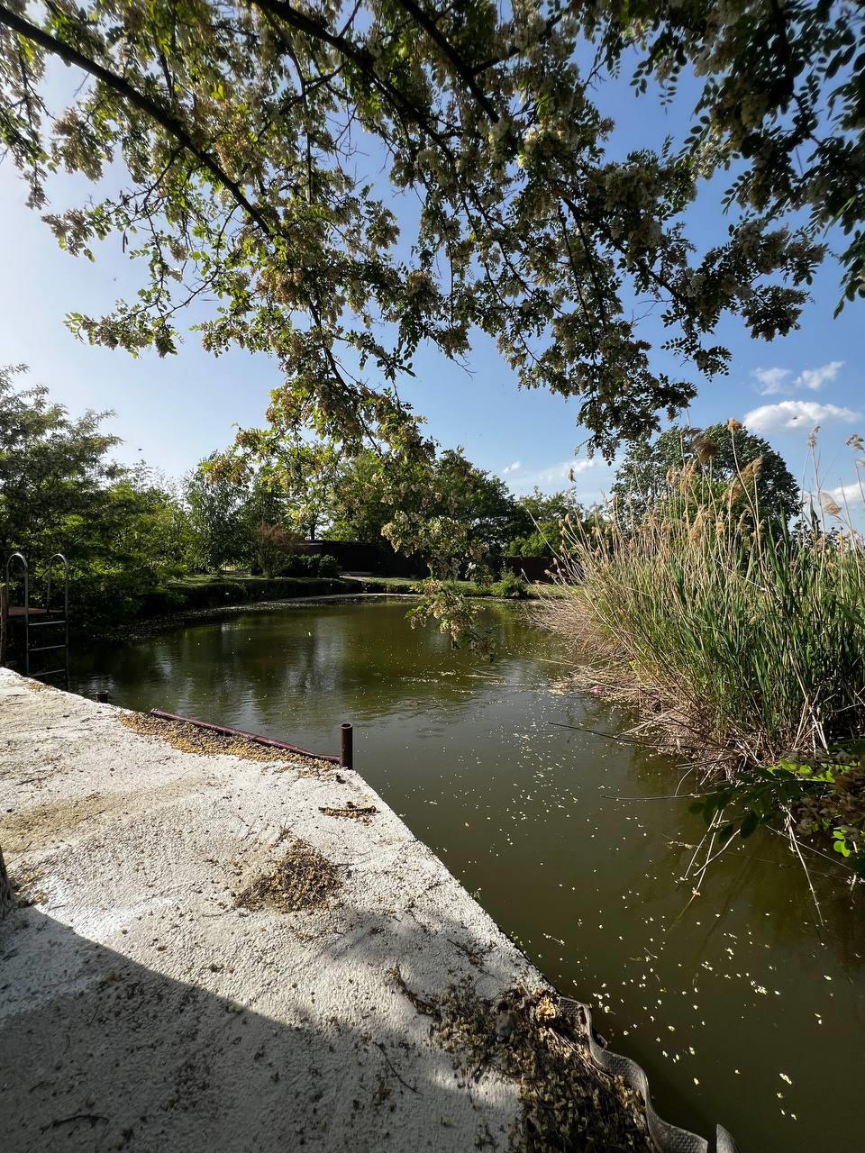 Фото №13: Коммерция 400 м² - Карла Маркса, ул. Белевцы, 88