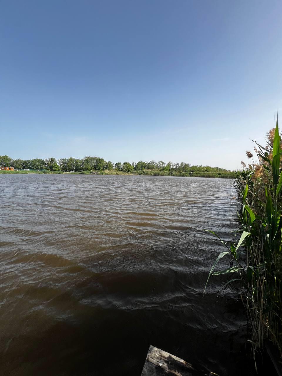 Фото №12: Коммерция 400 м² - Карла Маркса, ул. Белевцы, 88