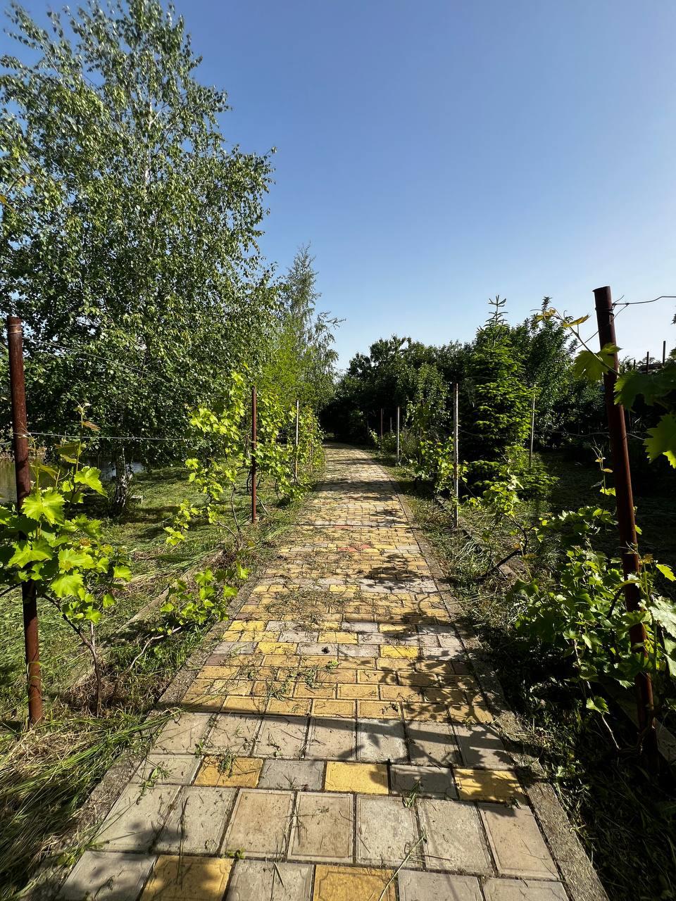 Фото №19: Коммерция 400 м² - Карла Маркса, ул. Белевцы, 88