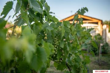 Фото №2: Дом 57 м² - Октябрьский, ст Луч, ул. Яблоневая, 185