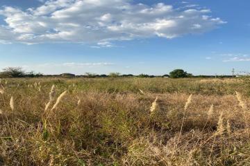 Фото №2: Земельный участок 8 сот. - садовое некоммерческое товарищество Авиатор, мкр. Прикубанский внутригородской округ, ул. Тенистая, 83