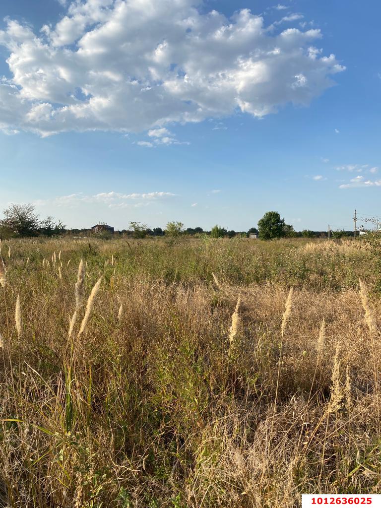 Фото №2: Личное подсобное хозяйство - садовое некоммерческое товарищество Авиатор, мкр. Прикубанский внутригородской округ, ул. Тенистая, 83