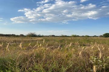 Фото №5: Земельный участок 8 сот. - садовое некоммерческое товарищество Авиатор, мкр. Прикубанский внутригородской округ, ул. Тенистая, 83