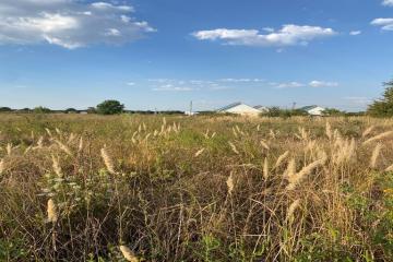 Фото №4: Земельный участок 8 сот. - садовое некоммерческое товарищество Авиатор, мкр. Прикубанский внутригородской округ, ул. Тенистая, 83