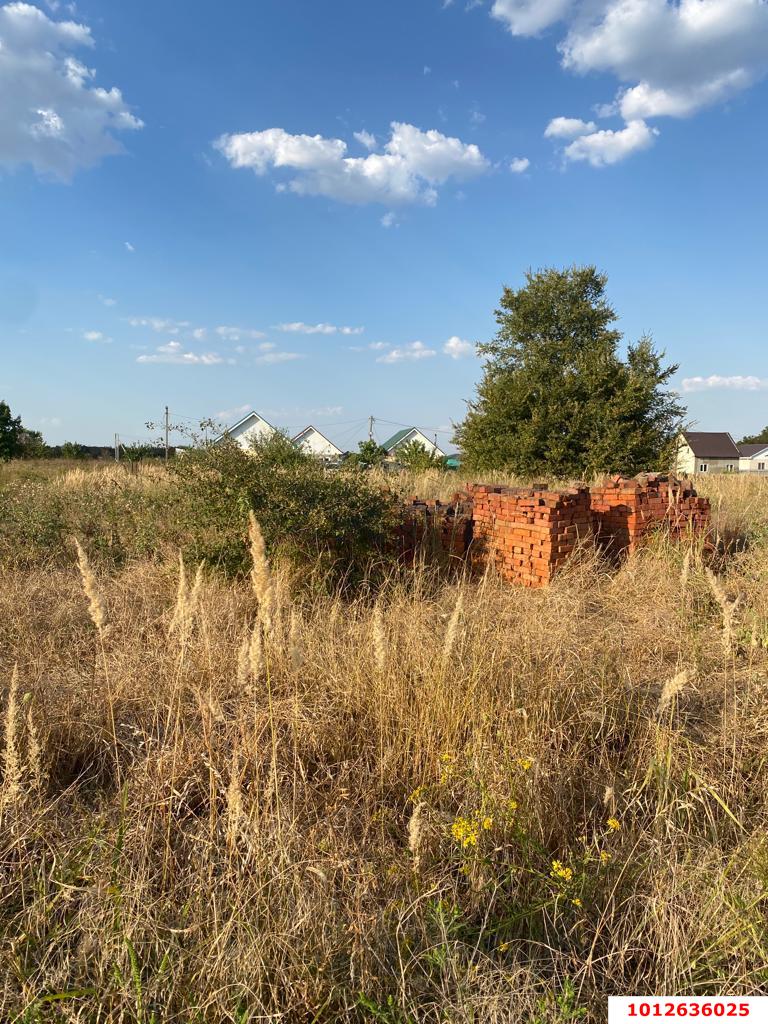 Фото №1: Личное подсобное хозяйство - садовое некоммерческое товарищество Авиатор, мкр. Прикубанский внутригородской округ, ул. Тенистая, 83