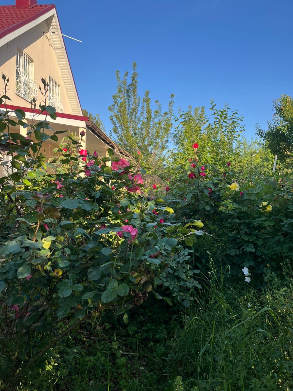 Фото №18: Дом 98 м² + 6 сот. - СНТ Кубаночка-Белозёрный, мкр. Прикубанский внутригородской округ, ул. Зелёная, 425