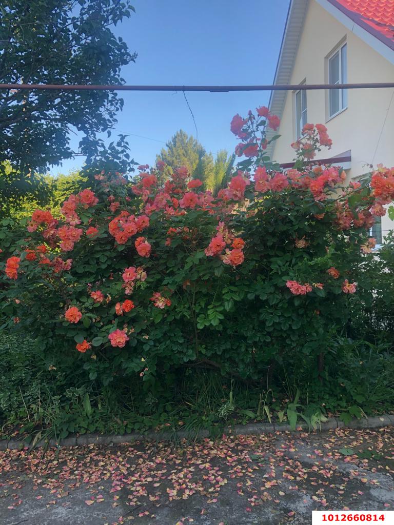 Фото №13: Дом 98 м² + 6 сот. - Кубаночка-Белозёрный, Прикубанский внутригородской округ, ул. Зелёная, 425