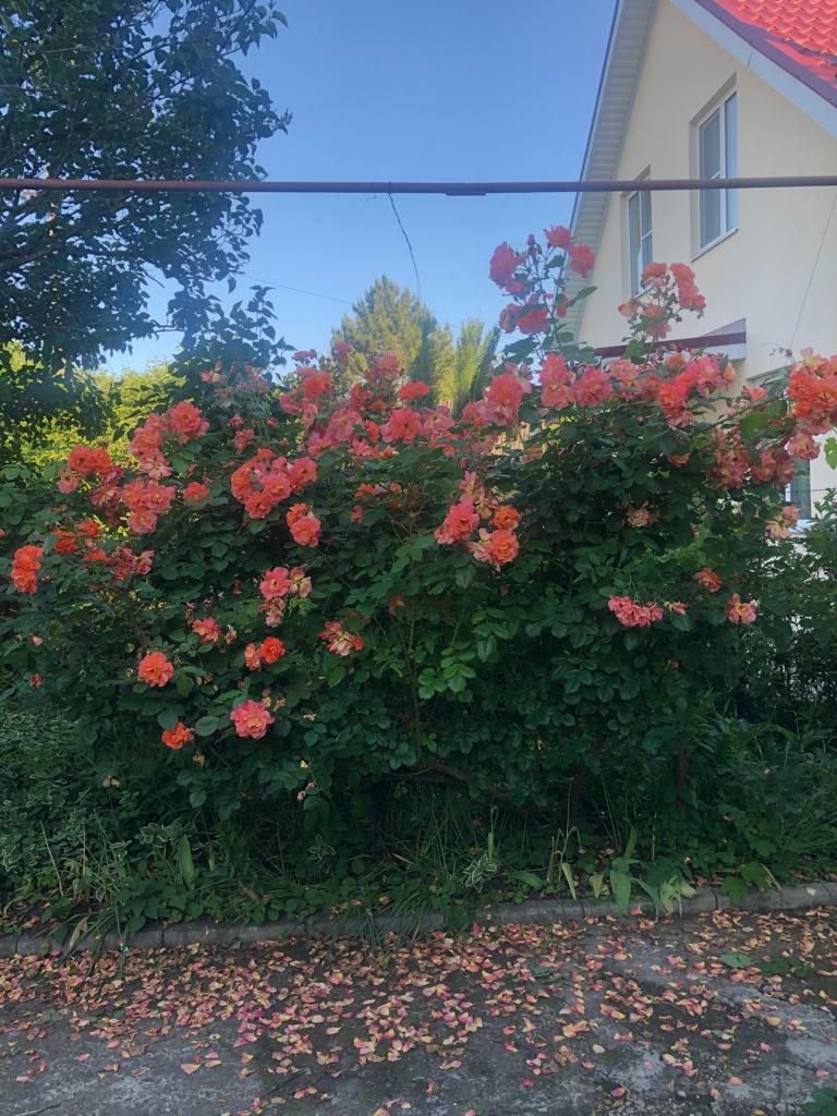 Фото №13: Дом 98 м² + 6 сот. - СНТ Кубаночка-Белозёрный, мкр. Прикубанский внутригородской округ, ул. Зелёная, 425