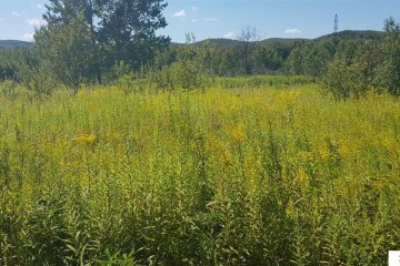 Фото №3: Коммерческая земля 264 сот. - Краснодарский край муниципальный округ Горячий Ключ