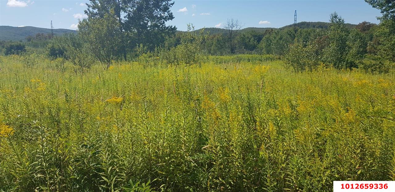 Фото №3: Коммерческая земля 264 сот. - Краснодарский край муниципальный округ Горячий Ключ